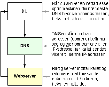 dns