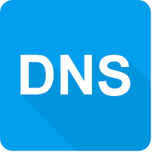 2 navnetjenere (DNS)